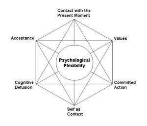 psychological flexibility diagram