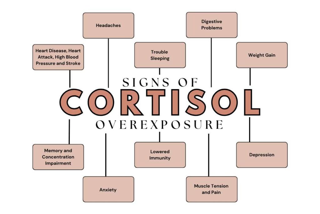 blog-post-cortisol